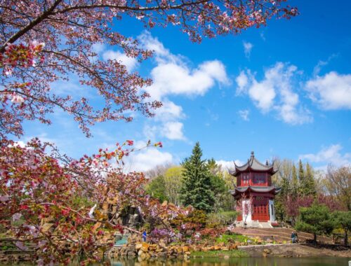10 Raisons de Visiter Montréal au Printemps 2025