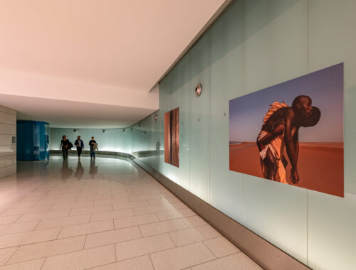 Credit FR © Freddy Arciniegas - Arcpixel - Tourisme Montréal-EN Credit © Freddy Arciniegas - Arcpixel - Tourisme Montréal